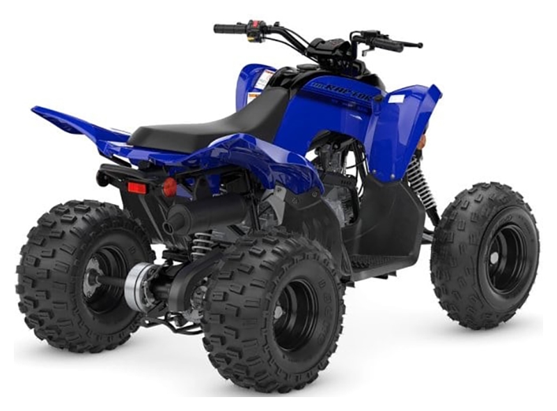 2025 Yamaha Raptor 110