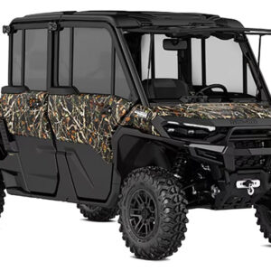 2025 Kawasaki W230 ABS