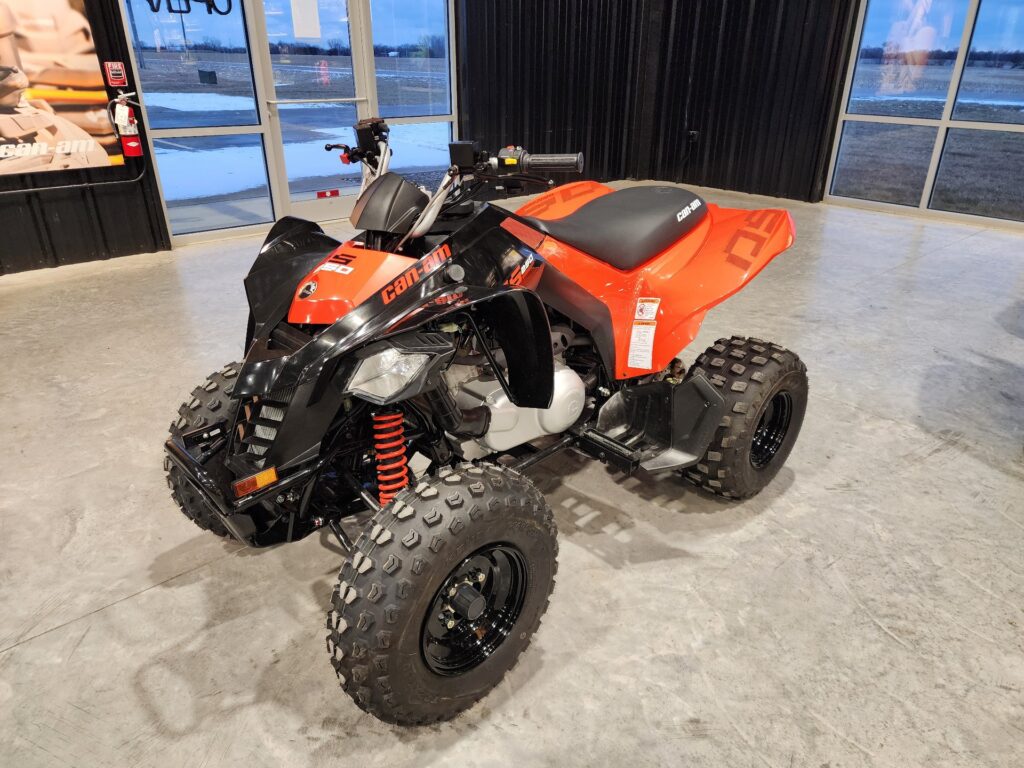 2024 Can-Am DS 250